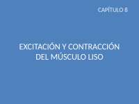Mechanismos de contracción y regulación del músculo liso