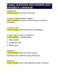 Anatomy and Physiology of the Skin: Layers, Cells, and Pigments