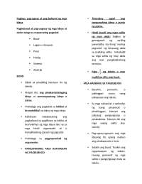 Guide to Writing a Thesis: Idea Organization and Development