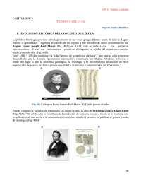 Historia y evolución del concepto de célula: de Purkinje a Virchow
