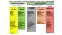 Niveles de Aplicación de Medidas Preventivas en Salud - Prof. Villalobos Badillo