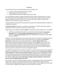 Dispense per concorso straordinario 2023