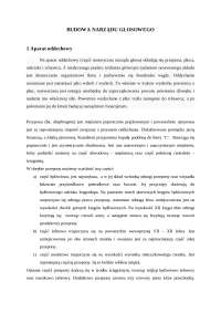 Aparat głosowy, budowa i funkcje
