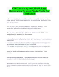Anatomy and Physiology: Respiratory System Study Guide for Final Exam