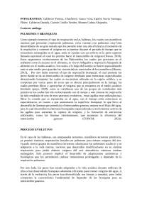 taxonomía de vertebrados