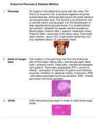 Pancreas Function: Insulin, Glucagon, and Blood Glucose Regulation