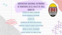 Planificación de un programa deportivo para vacaciones especiales