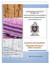 Histología Humana I: Sistema Nervioso Central y Endocrino - Prof. Vargas