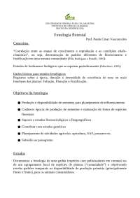 Fenologia florestal feno