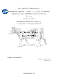 Anatomía del esqueleto y músculos en bovinos