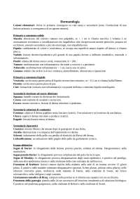 Schemi di dermatologia per test SSM