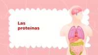 Las proteínas: Funciones, clasificación y relevancia en la salud