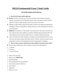 NR 224 FUNDAMENTALS EXAM 2 STUDY GUIDE(New, 2024): CHAMBERLAIN COLLEGE OF NURSING