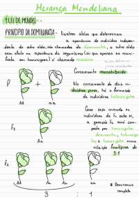 Genetica Classica| Leis de Mendel
