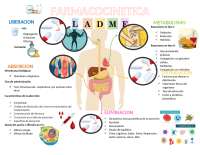 Farmacocinetica mapa mental