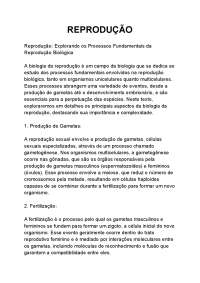 Um resumo que eu fiz sobre o sistema reprodutivo