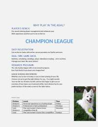 Ashland Hockey League: Player Experience and Computing Programs