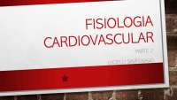 Fisiologia Cardiovascular: Potencial de Ação no Músculo Cardíaco