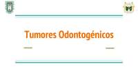 Tumores Odontogénicos: Ameloblastoma, Mixoma y Fibroma Ameloblástico
