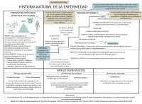 Esquema de la Historia Natural de la Enfermedad: Dinámica y Estrategias de Control