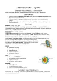 Appunti di Microbiologia: Batteri, Virus e Antibiotici