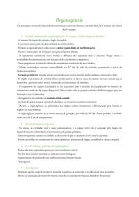 Resumo de embriologia: organogênese