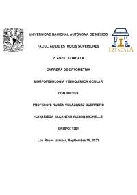 DOC TAREA INVESTIGACION DE ENFERMEDADES VISUALES