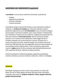 Anatomia e funzioni del legamento parodontale e della gengiva - Prof. Pilloni