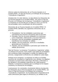 Informe sobre los Elementos de un Proceso basado en el modelo PEPSC