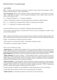 Genética: Função e Regulação dos Gênes - Prof. Luengo