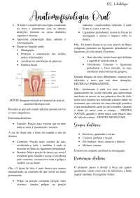 Anatomia e Funções dos Dentes: Descrição e Estruturas