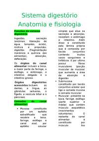 Resumo sistema digestório - anatomia e fisiologia