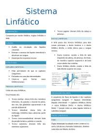 Sistema Linfático: Composição, Função e Estruturas
