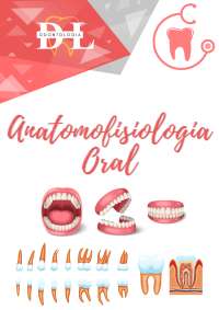 Anatomia e Morfologia dos Dentes Molares e Caninos