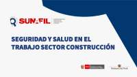 Seguridad y Salud en el Trabajo en el Sector Construcción