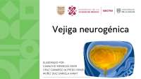 Vejiga neurogénica y tubulopatías: Diagnóstico y tratamiento
