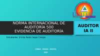 Evidencia de auditoría: Norma Internacional de Auditoría 500