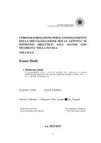 Esame finale tfa sostegno