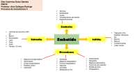 Embutidos clasificación 
