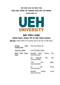 Tiểu luận kết thúc học phần Kinh tế học vi mô