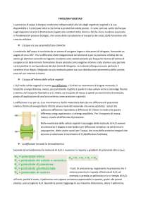 Sbobinature Fisiologia Vegetale - UniBa
