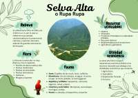 resumen de la selva alta