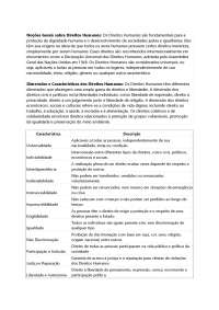 Direitos Humanos: Dimensões, Características e Responsabilidades Internacionais