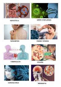 enfermedades infectocontagiosas