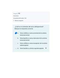 Preguntero de concepción 