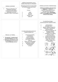Verhaltensbiologie Fragenkatalog Ankikarteikarten