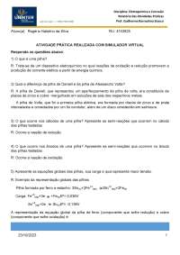 Atividade prática elétroquimica e corrosão