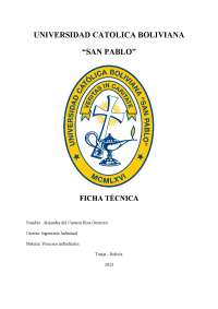 documento donde se encuentra plasmado el proceso del cuero curtido a detalle