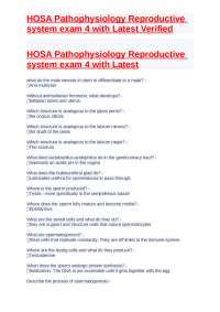 HOSA Pathophysiology Reproductive System Exam 4: Male Reproductive System and Hormones