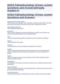 Pathophysiology of the Urinary System: Symptoms, Diseases, and Treatments